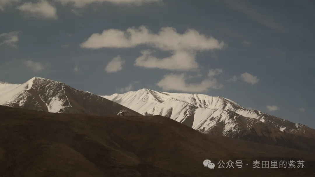 什么? 4月还能见到雪